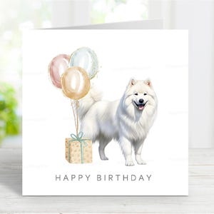 Cartão de aniversário de Samoieda, cartão de felicitações de cachorro, linda imagem em aquarela, 6" x 6", em branco por dentro