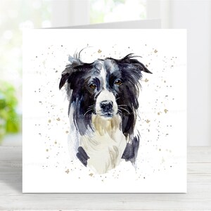 Carte de border collie, jolie carte de voeux de chien pour toute occasion, anniversaire, merci, rétablissement, sympathie, perte d'un animal de compagnie, 6 x 6 po
