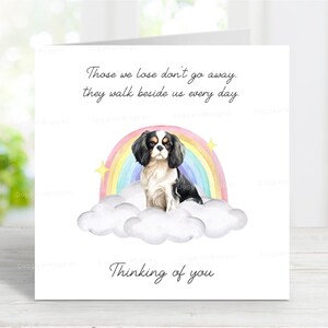 Cavalier King Charles Spaniel Beileidkarte - Hundeverlust, der an Sie denkt Zitat - Regenbogenbrücke Karte - 6 "x 6"