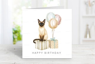 Biglietto Auguri Compleanno Con Gatto – Elegante E Sostenibile Per Amici E Famiglia