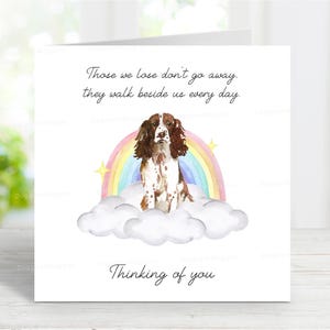Tarjeta de condolencias para un Springer Spaniel Inglés - Tarjeta "Perro pensando en ti" - Frase sentimental sobre la pérdida de un perro - Tarjeta Puente Arcoíris - 15 x 15 cm