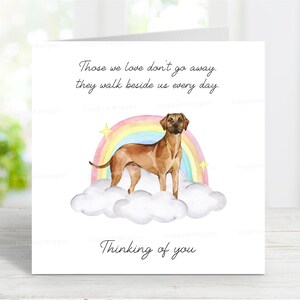 Rhodesian Ridgeback Beileidkarte - Hund denkt an Sie Karte - Sentimentaler Hundeverlust Zitat - Rainbow Bridge Hundekarte - 6 "x 6"