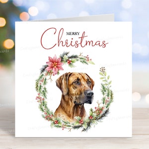 Carte de Noël Rhodesian Ridgeback, carte de voeux de chien « Joyeux Noël », 15 x 15 cm - Design No2