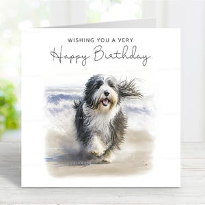 Verjaardagskaart Bearded Collie, leuke hondenwenskaart, mooie aquarel strandafbeelding, 6 x 6 inch blanco binnenkant