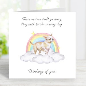 Sympathiekaart chihuahua (gladde vacht) - kaart hond Thinking of You - citaat sentimenteel verlies hond - Rainbow Bridge-kaart - 6 x 6 inch