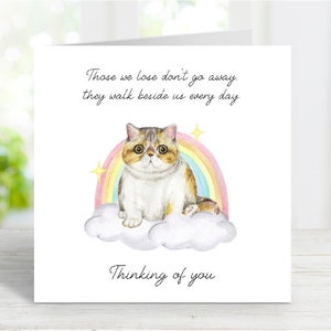 Tarjeta de condolencias para un gato exótico de pelo corto - Tarjeta "Un gato piensa en ti" - Tarjeta sentimental por la pérdida de un gato - 15 x 15 cm
