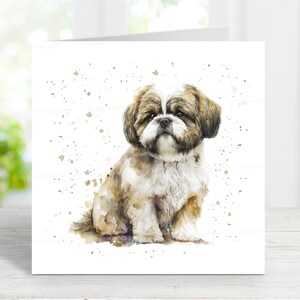 Carte Shih Tzu, belle carte de voeux de chien pour toute occasion, anniversaire, merci, rétablissement, sympathie, perte d'un animal de compagnie, 6 x 6 po