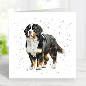 Berner Sennenhund Karte, schöne Grußkarte für jeden Anlass - Geburtstag, Danke, Gute Besserung, Sympathie, Haustier Verlust, 15,5 x 15 cm