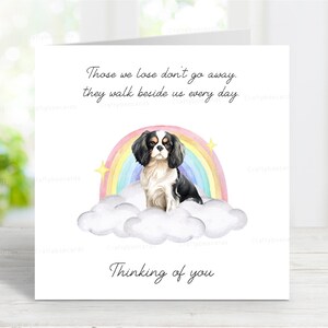 Cavalier King Charles Spaniel Beileidkarte - Hundeverlust, der an Sie denkt Zitat - Regenbogenbrücke Karte - 6 "x 6"