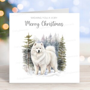 Samoyed Weihnachtskarte, schöne festliche 'Merry Christmas' Hund Grußkarte, lustige Winter-Schnee-Szene, 6 "x6", innen leer