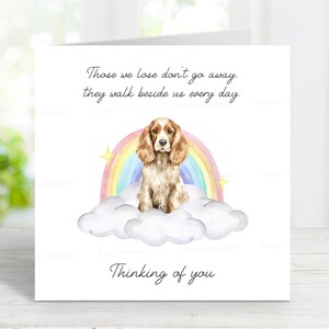 Sympathiekaart cocker-spaniël (oranje roan) - quote dog Loss Thinking of You - Rainbow Bridge-kaart - 6 x 6 inch
