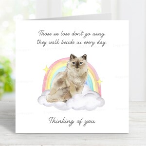 Ragdoll Cat Sympathy Card - Cat Thinking of You Card - Sentimental Cat Loss Card - 6" x 6"