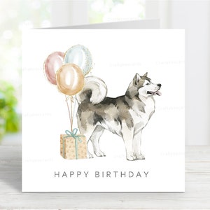 Alaskan Malamute Geburtstagskarte, süße Hund Grußkarte, reizendes Aquarell Bild, 6 "x 6", innen leer."