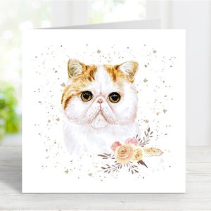 Carte de chat exotique à poil court, belle carte de voeux pour toute occasion, anniversaire, merci, rétablissement, sympathie, perte d'un animal de compagnie, 6 x 6 po.