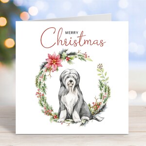 Carte de Noël Bearded Collie/Beardie, carte de voeux « Joyeux Noël », chien festif, 6 x 6 po
