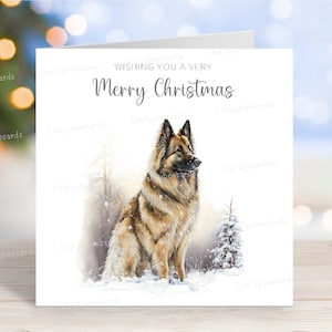 Carte de Noël pour chien de berger belge/Tervueren, carte de voeux festive pour chien « Joyeux Noël », scène de neige hivernale amusante, 6 x 6 po, blanc à l'intérieur