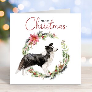 Carte de Noël Border Collie, carte de voeux « Joyeux Noël », chien festif, 6 x 6 po