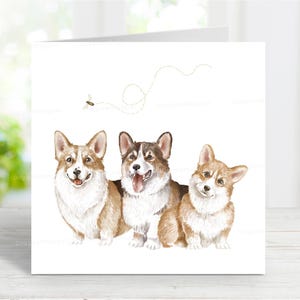 Corgis Karte, schöner Hund Grußkarte für jeden Anlass - Geburtstag, Danke, Gute Besserung, Sympathie, Verlust des Haustieres, 15,5 x 15 cm