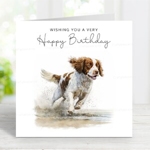 Brittany Spaniel Geburtstagskarte, Spaß Hund Grußkarten, reizende Strandszene, 6 "x 6", innen leer