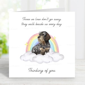 Dackel (Drahthaar) Beileidkarte - Thinking of You Sentimental Dog Loss Zitat, Rainbow Bridge Karte, 6 "x 6"