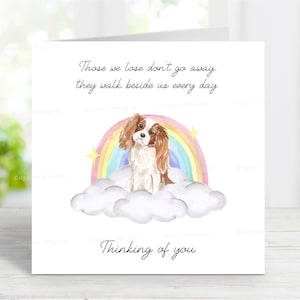 Cavalier King Charles Spaniel (Blenheim) Beileidskarte - Hundeverlust, der an Sie denkt Zitat - Regenbogenbrücke Karte - 6 "x 6"