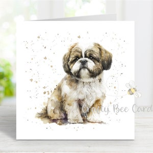 Cartão Shih Tzu, lindo cartão de felicitações para cães para qualquer ocasião, aniversário, obrigado, melhoras, simpatia, perda de animal de estimação, 6" x 6"