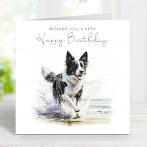 Border Collie Geburtstagskarte, lustige Hund Grußkarten, reizende Strandszene, 6 "x 6", innen leer