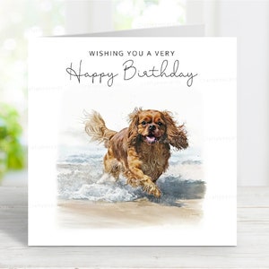 Carte d'anniversaire Cavalier King Charles Spaniel (rubis), belle carte de voeux de chien, scène de plage amusante, 6 x 6 po, blanc à l'intérieur
