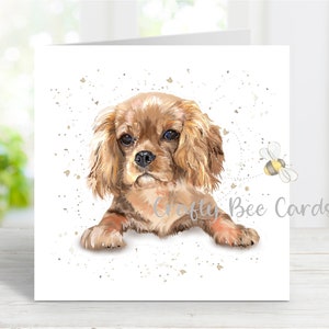 Carte de voeux pour chien Cavalier King Charles Spaniel (rubis), vierge pour toute occasion, anniversaire/merci/rétablissement/sympathie/perte d'animal de compagnie, 6 x 6 po