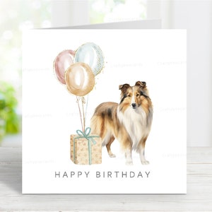 Biglietto di auguri per compleanno di Shetland Sheepdog, biglietto di auguri per Sheltie, adorabile immagine ad acquerello, 6" x 6", interno vuoto