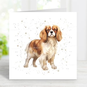 Carte Cavalier King Charles Spaniel (Blenheim), belle carte de voeux de chien pour toute occasion, anniversaire, merci, rétablissement, sympathie, perte d'un animal de compagnie