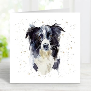 Tarjeta de Border Collie, adorable tarjeta de felicitación para cualquier ocasión: cumpleaños, agradecimiento, recuperación, condolencias, pérdida de mascota, 15 x 15 cm