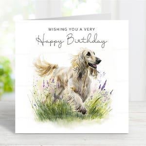 Verjaardagskaart Afghaanse windhond, leuke hondenwenskaart, mooie aquarelafbeelding, 6 x 6 inch, blanco binnenkant