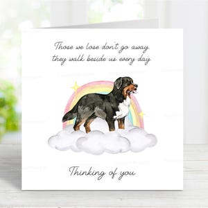 Berner Sennenhund Sympathie Karte - Hund denkt an Sie Karte - Sentimentaler Hundeverlust Zitat - Regenbogen Brücke Karte - 6 "x 6"