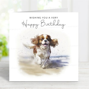 Carte d'anniversaire Cavalier King Charles Spaniel (Blenheim), belle carte de voeux de chien, scène de plage amusante, 6 x 6 po, blanc à l'intérieur