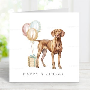 Ungarische Vizsla Geburtstagskarte, lustige Hundegruß-Karte, 6 "x 6", innen leer