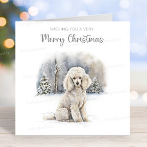 Pudel (weiß) Weihnachtskarte, schöne festliche 'Merry Christmas' Hund Grußkarte, lustige Winter-Schnee-Szene, 6 "x6", innen leer