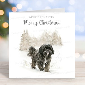 Shih Tzu Weihnachtskarte, schöne festliche 'Merry Christmas' Hund Grußkarte, lustige Winter-Schneeszene, 6 "x6", innen leer (Design 4)