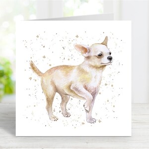 Chihuahua (Smooth Coat) Karte, schöner Hund Gruß-Karte für jeden Anlass - Geburtstag, Danke, gute Besserung, Sympathie, Haustier-Verlust, 6 "x 6"