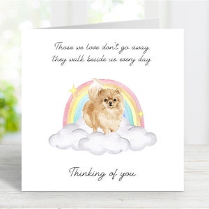 Pommersche Beileidskarte - Hund denkt an Sie Karte - Sentimentaler Hundeverlust Zitat - Regenbogenbrücke Hundekarte - 6 "x 6"