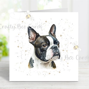Boston Terrier Karte, schöner Hund, Grußkarte für jeden Anlass, Geburtstag, Danke, Gute Besserung, Sympathie, Haustierverlust, 15,2 x 15,2 cm