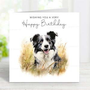 Border Collie Geburtstagskarte, Spaß Hund Grußkarte, reizende Wiese Szene, 6 "x 6", innen leer