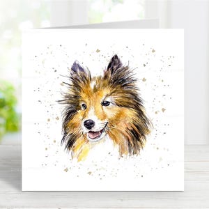Carte de chien de berger des Shetland, carte de voeux pour toute occasion, anniversaire, merci, rétablissement, sympathie, perte d'un animal de compagnie, 6 x 6 po