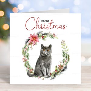 Carte de Noël chat British Shorthair (bleu), carte de voeux festive « Merry Christmas », 15 x 15 cm