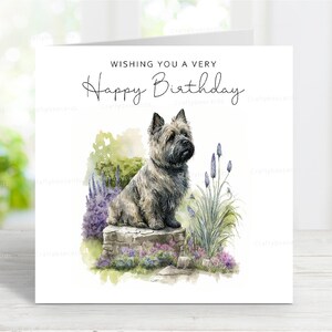 Carte d'anniversaire Cairn Terrier, jolie carte de voeux de chien, jolie scène de fleurs de jardin, 6 x 6 po, intérieur vierge, couleur bringé