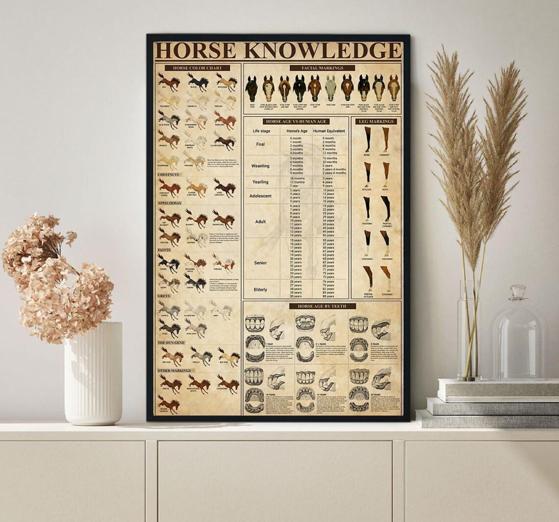 Horse Knowledge Poster Animal Lover Wall Art Poster Horse Etsy