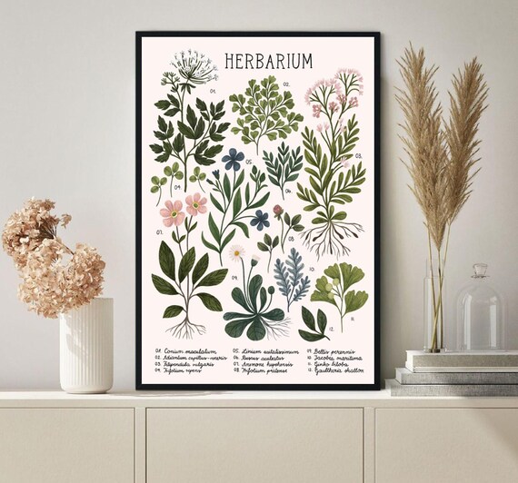 Herbarium Herbology Poster Plant Magic Poster Herbology Etsy
