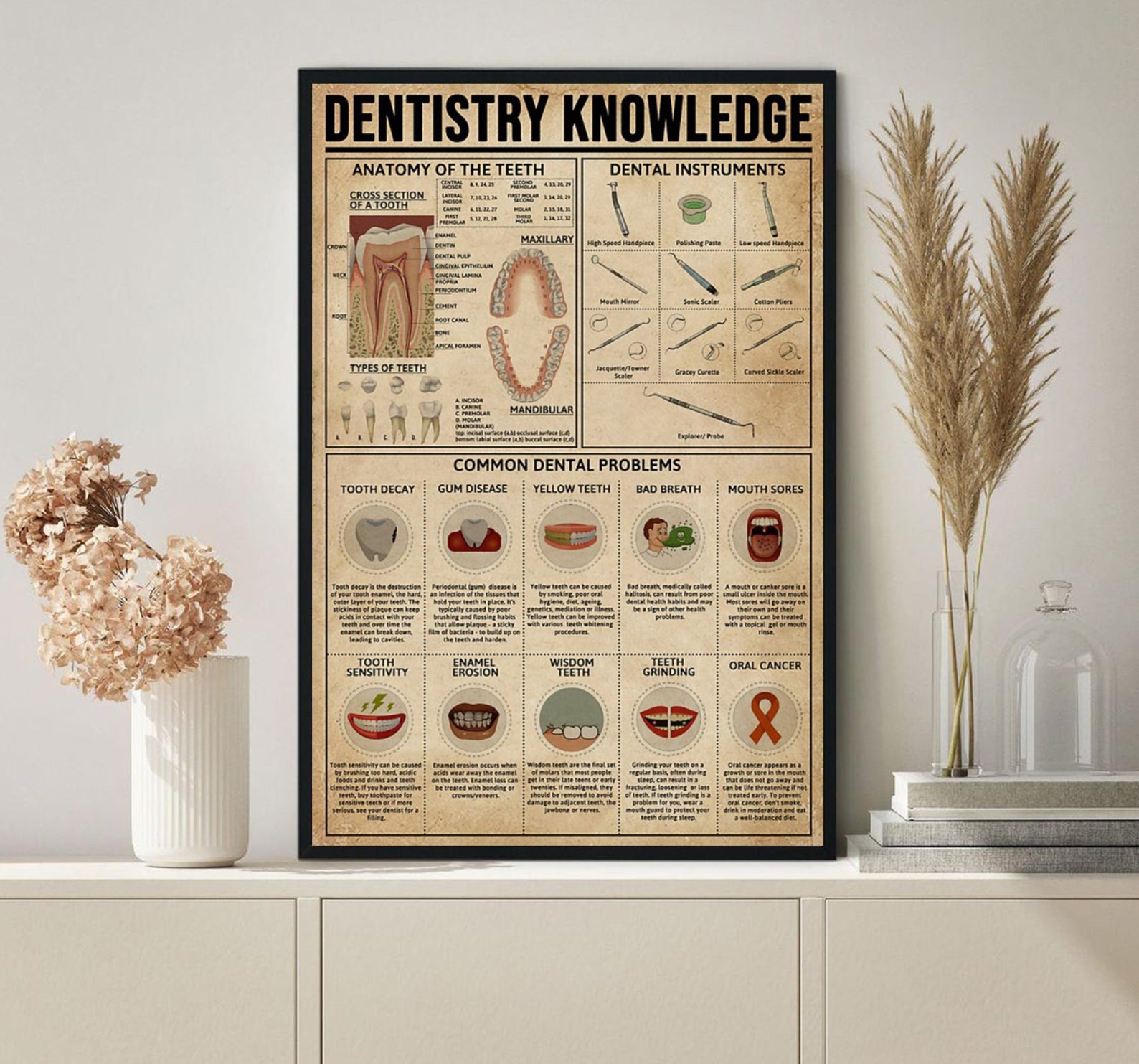 Dentistry Knowledge Poster Anatomy of A Teeth Poster Dental Etsy