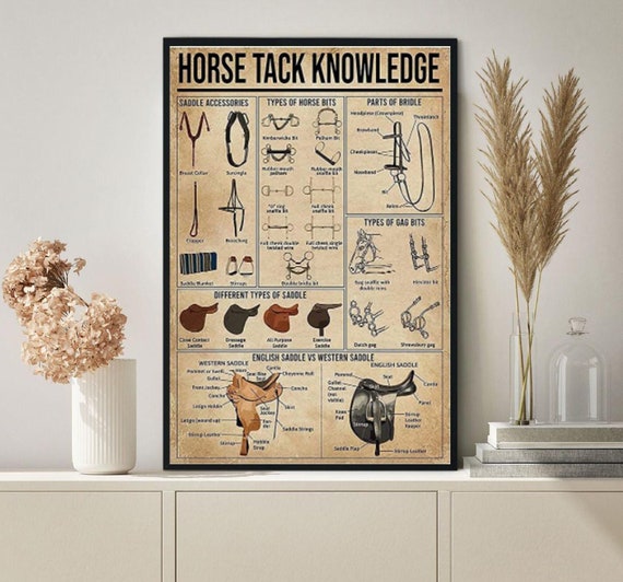 Horse Tack Knowledge Poster Horse Knowledge Poster Types of Etsy