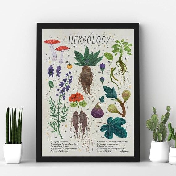Herbology Poster Plant Magic Poster Herbology Plant Poster Etsy